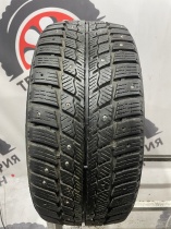 Landsail Ice Star IS33 R17 225/45