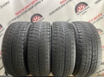 Bridgestone BliZZak WS60 R16 205/60