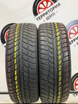 Roadstone WinGuard 231 R16 215/60