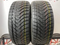 Delinte Winter WD1 R16 205/55
