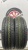 Dunlop Digi-Tyre EC 202 R14 175/65 Dunlop Digi-Tyre EC 202 R14 175/65