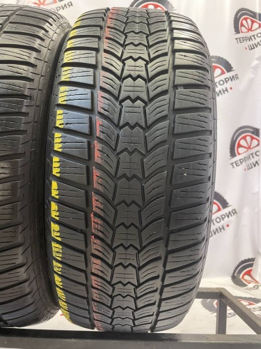 Sava Eskimo HP2 195/55 R15