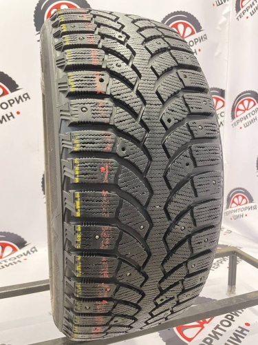 Bridgestone Blizzak Spike-01 R17	225/50