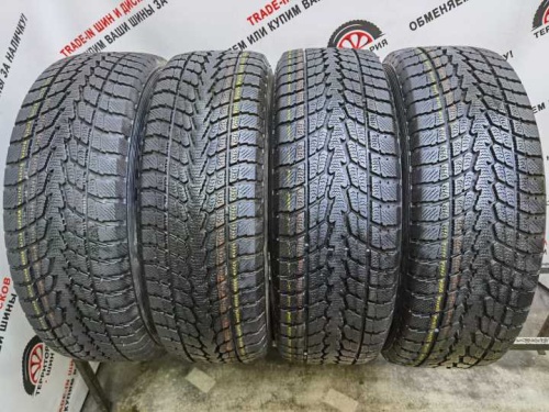 Toyo Winter Tranpath S1 R17 225/65