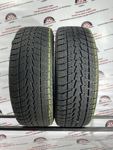 Toyo Winter Tranpath S1  R17 225/65