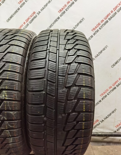 Nokian Tyres  WR G2 225/50 R17