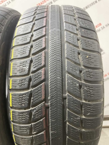 Michelin Primacy Alpin R16 225/55