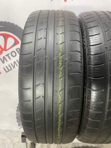 DoubleStar Landsman R18 225/60