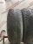 Nokian Hakka R2 R15 195/65