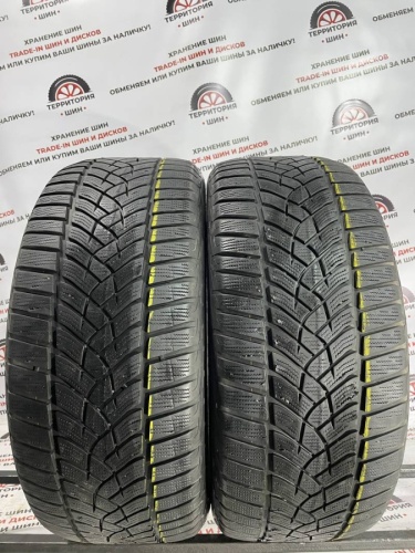 Goodyear UltraGrip Performance  R19	255/45