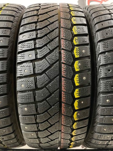 Viatti Brina Nordico R15 195/55