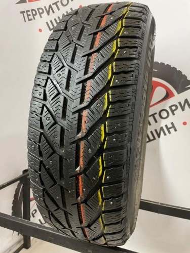 Tigar ICE R19 225/55