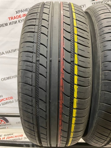 Minerva F109 R15	205/65