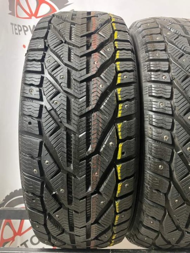 Tigar Ice R17 225/55