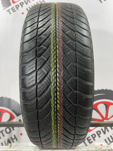 Goodyear UltraGrip Performance RFT R16 205/55
