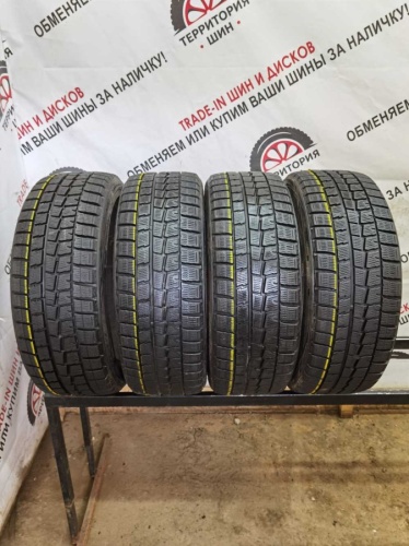 Dunlop Winter Maxx R17 205/45