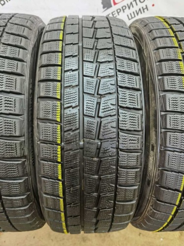 Dunlop Winter Maxx R17 205/45