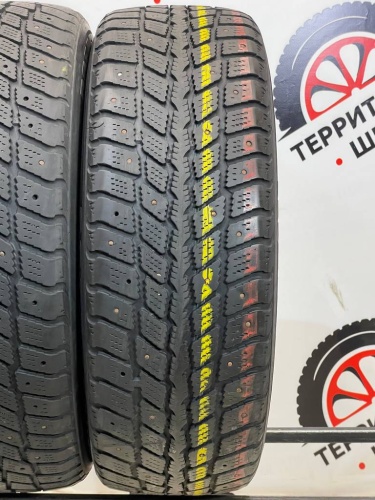 Roadstone WinGuard 231 R16 215/60