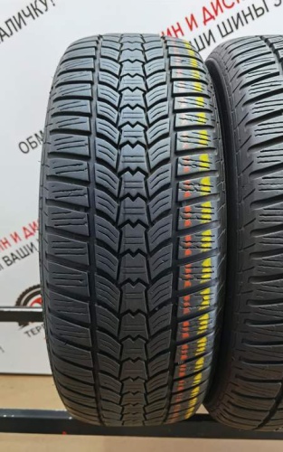 Sava Eskimo HP2 R16 205/60